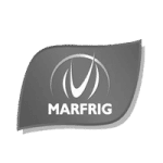 logo_marfrig